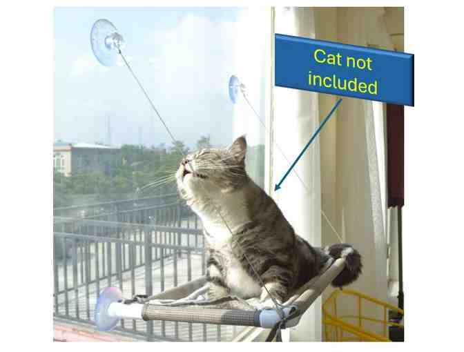 Purr-fectly Pawsome Cat-tastic Basket