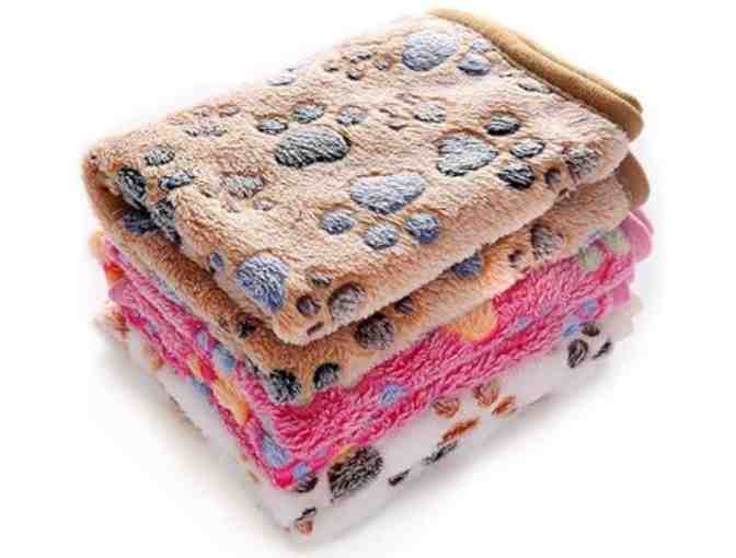 Purr-fectly Pawsome Cat-tastic Basket