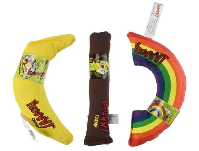 Purr-fectly Pawsome Cat-tastic Basket