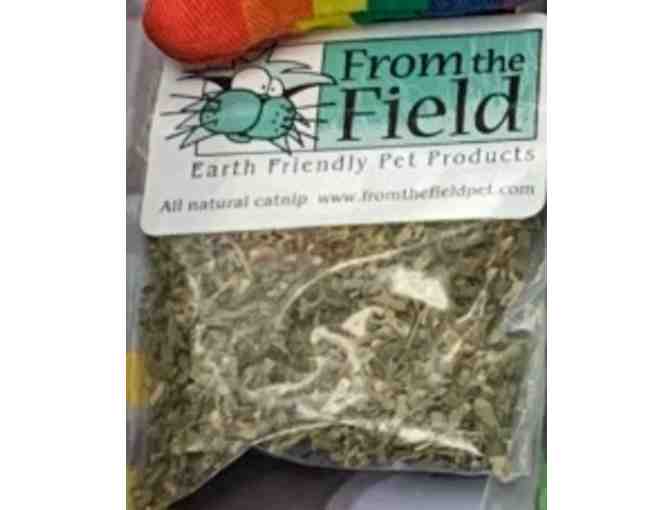 Purr-fectly Pawsome Cat-tastic Basket