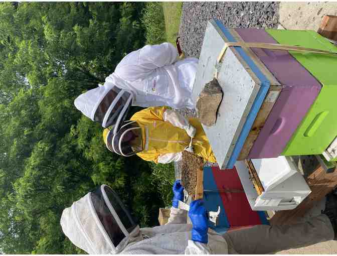Honey Bee Hive Visit with Mike Graham (#3 of 4 Tour Spots)