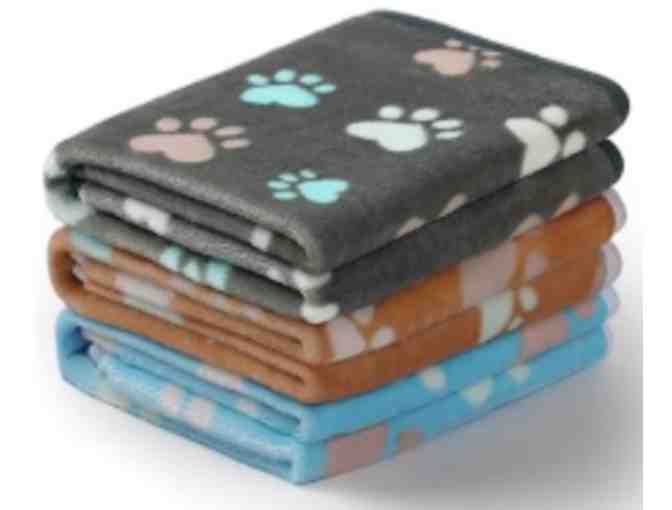 The Bark-tastic Adventure Basket