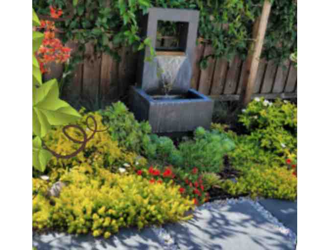 2 Hour Garden Consultation by Landscape Designer Marla Lee