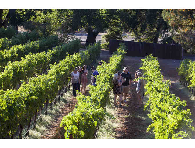 Alexander Valley Vineyards - Vineyard hike for 4 people + Lunch