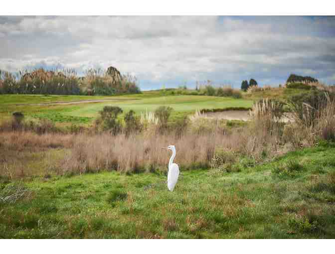 Golf for 4 @ Metropolitan Golf Links