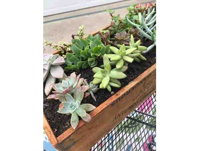 Class Art - Room 17 with Ms. Donaldson