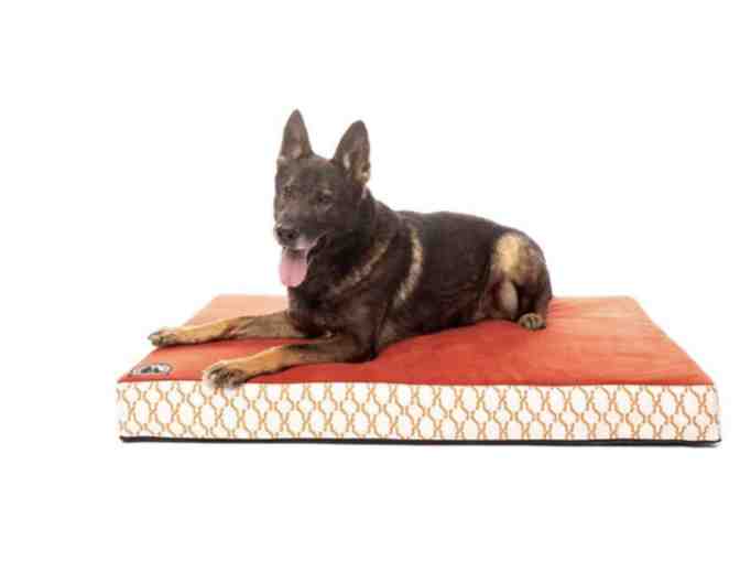 Dog Bed, Leash, and Toy