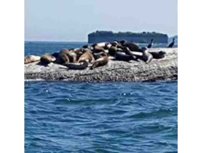 Celebration on the Water includes 2-hour Cruise and Dinner for Six People!