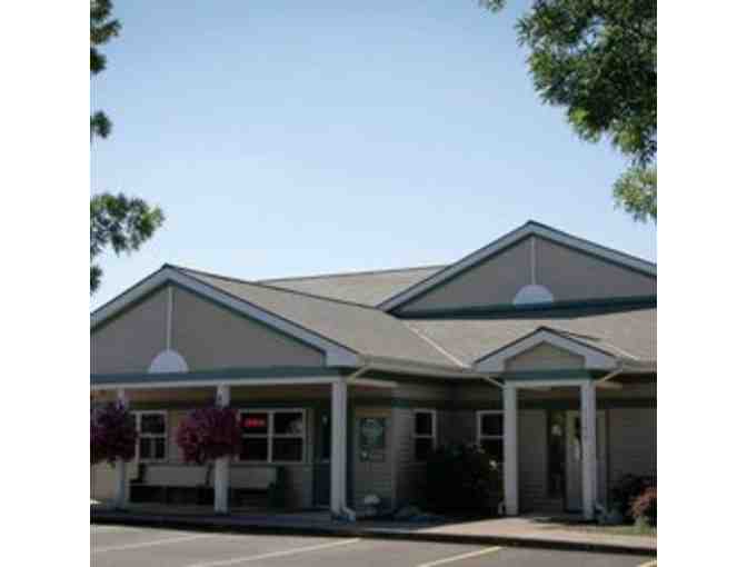 Ark Animal Hospital - Two Nights of Boarding and Spa for your Pet.