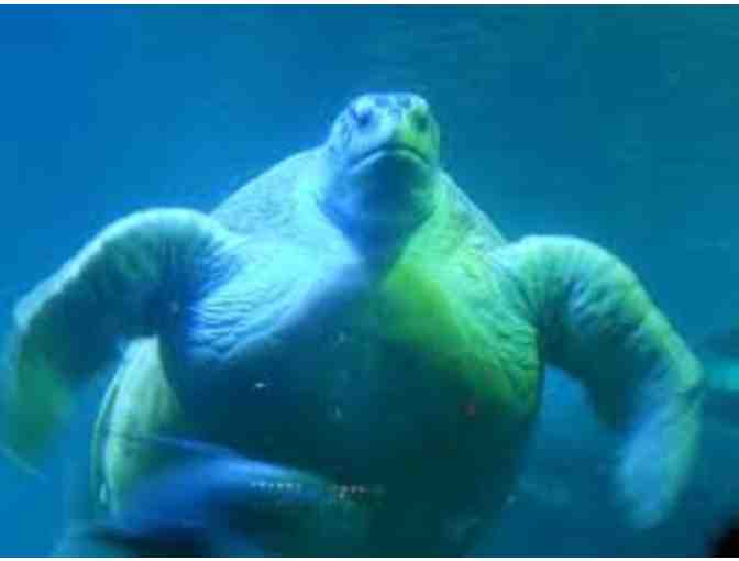 New England Aquarium passes!