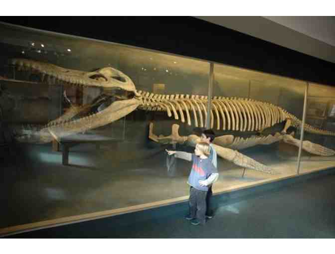 Kid's Scavenger Hunt Birthday Party with the Dinosaurs in Cambridge, MA!