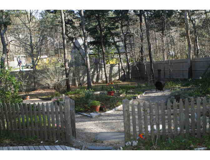 3-day Cape Cod Getaway in Wellfleet, MA!