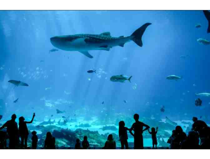 Georgia Aquarium Tickets
