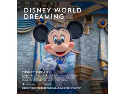 Disney World Dreaming