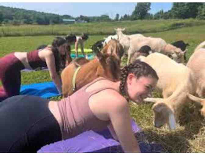 Where Namaste Meets Nautical Serenity