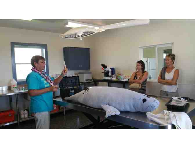 Certificate for Four (4) People on Any Friends of NELHA Tour