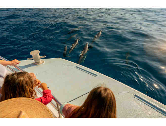 Body Glove Cruises Snorkel & Dolphin Watch Gift Certificate for Two Guests