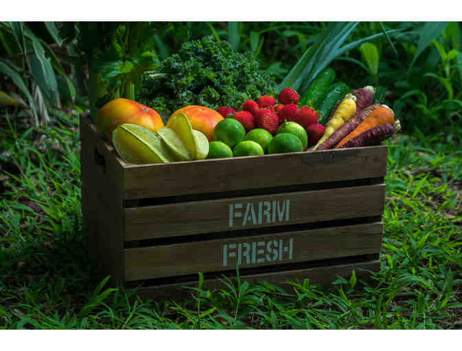 Fresh Feast CSA Gift Certificate from Adaptations
