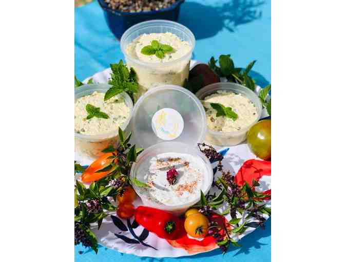 Persian Food with Noosh