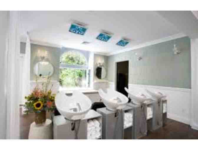 Mancini Salon Package