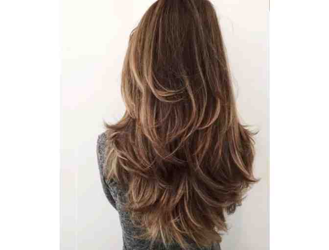 Cut and blow dry by Nikkii Windsor