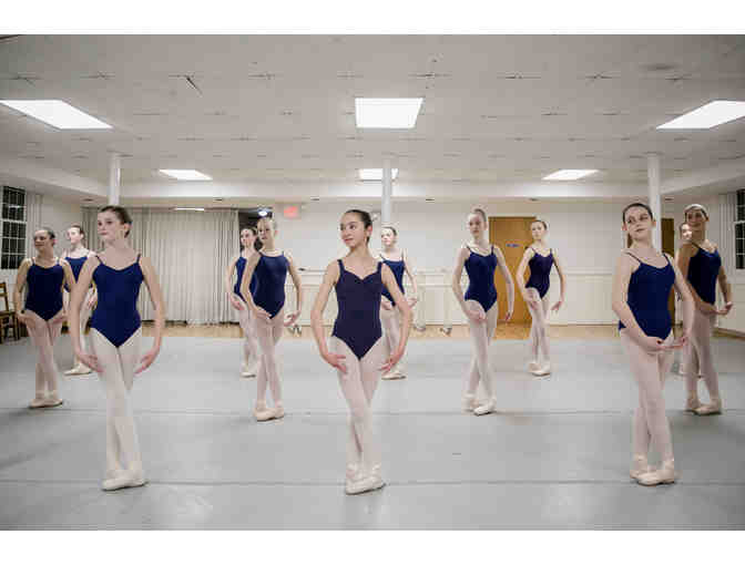 Semester of Ballet Instruction at the New England Academy of Dance