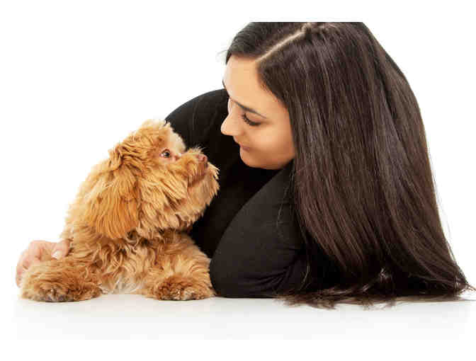 Venture Photography Pet Package