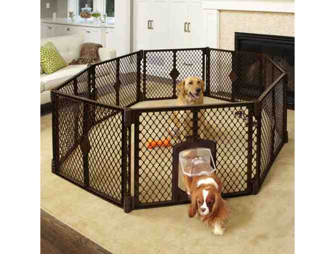 Nashua D.O.G. 1 Year Membership, Play space, and dog accessories.