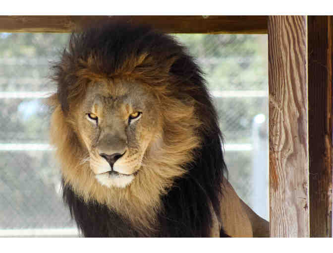 Experience on Water and on Land in San Diego, California for Four Days