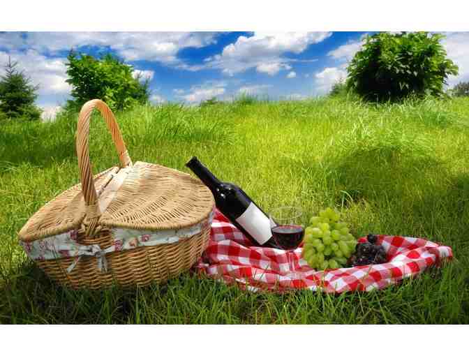 Canoe, Kayak and Picnic on the Mystic River and Lakes