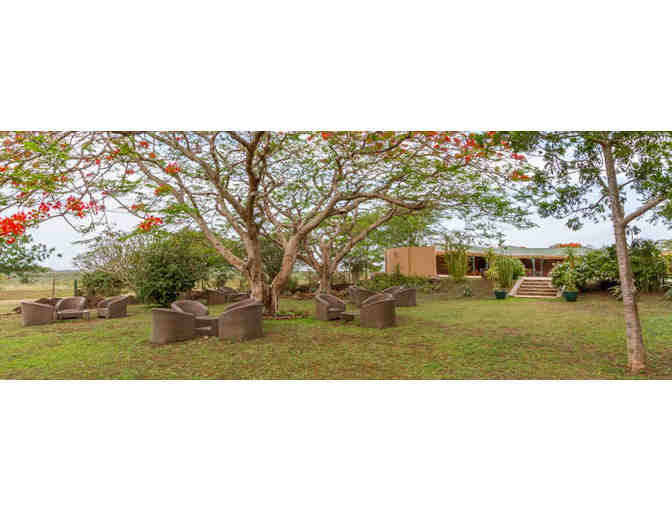 South African Photo Safari for Two - Six Days/Six Nights