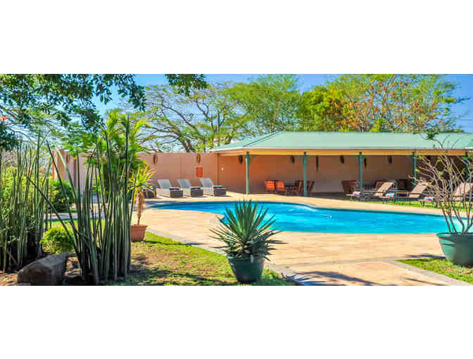 South Africa Photo Safari for Two - with Buy Now Option!