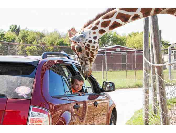 Six-Person V.I.P. Pass to African Safari Wildlife Park - Port Clinton, OH