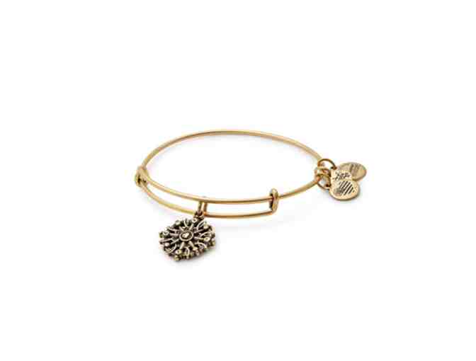 Alex and Ani Compass Charm Bangle in Rafaelian Gold