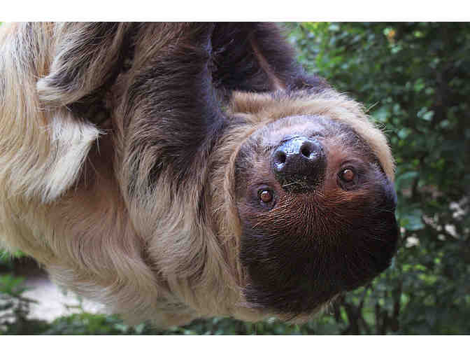 1-Year Detroit Zoo Family Membership for 2 adults, 4 children