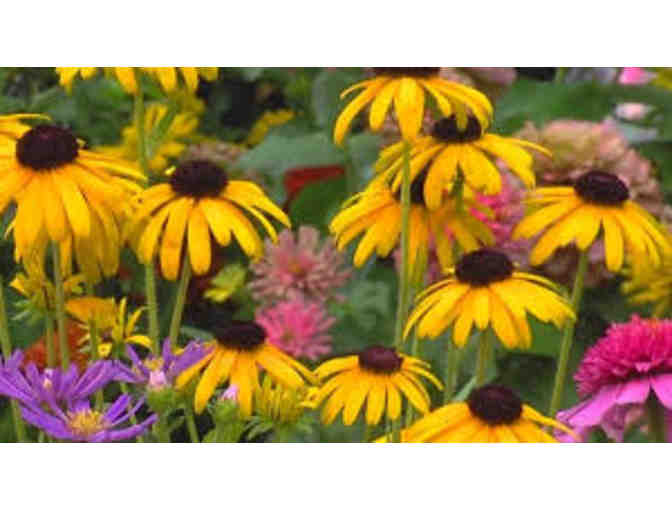 $25 English Gardens Gift Card - Photo 1