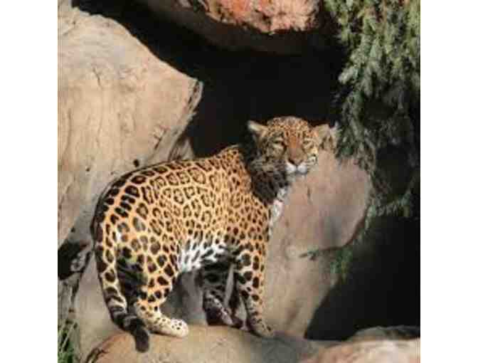 Happy Hollow Park & Zoo - 4 Tickets   San Jose, CA