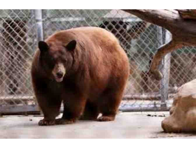 Wildlife Waystation Sunset Safari Dinner for 2 with Founder Martine Colette!