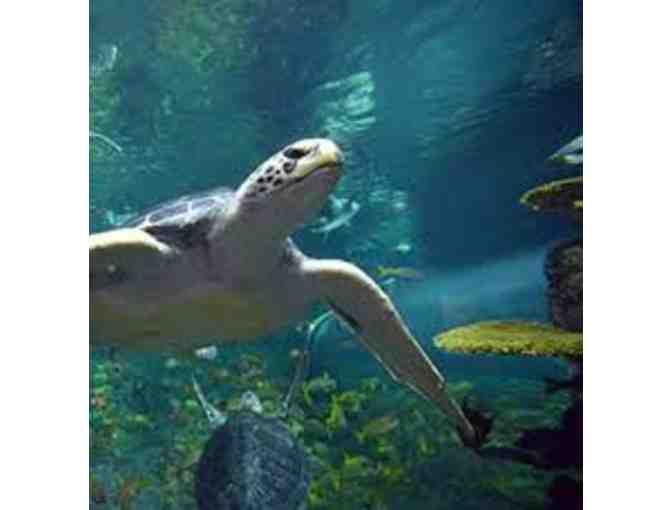 San Diego Getaway -- Sea World, Marriott and Much More!