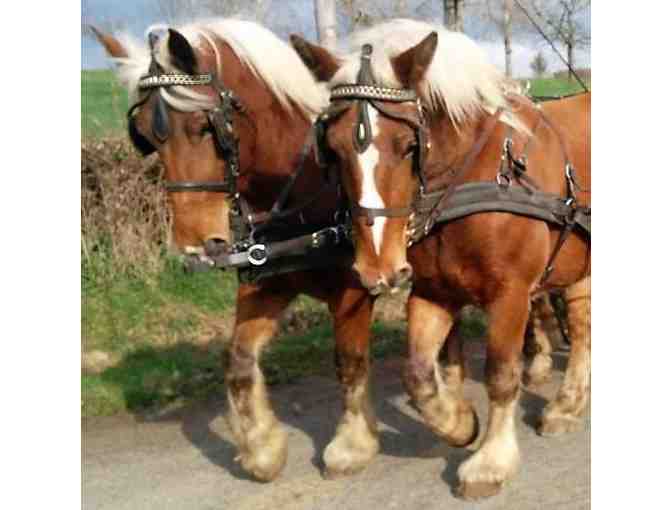 3 Night Stay and SO MUCH MORE at 'The Old French Convent' in Le Blanc, France