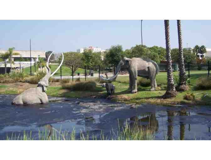 4 Guest Passes - Natural History Museum or La Brea Tar Pits Museum