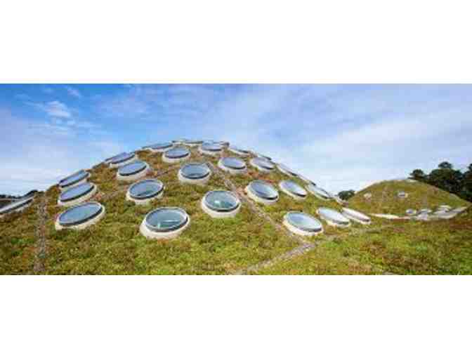 Learn and Have Fun in San Francisco!