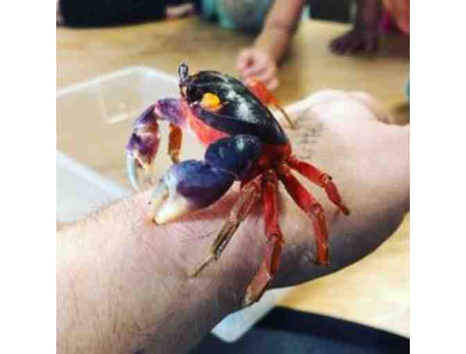 Plus Birthday Party Package - Critter Squad Wildlife Defenders