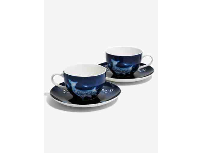 Harry Potter Collection