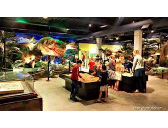 Discovery Cube - 4 tickets to any location - fun, hands-on, family, science museum