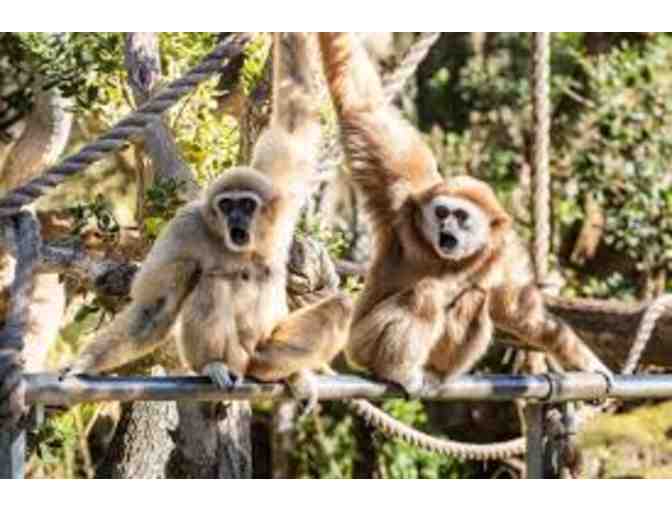 Escape to Santa Barbara!