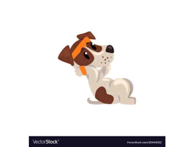 Paws 4 Fitness Group Session with Amy Hicks