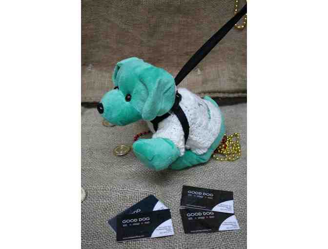 Dogs & Ice Cream in the Park - Fun with the First Grade Teachers