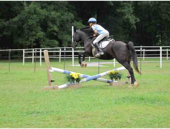 Hidden Hills Farm and Saddle Club - Trail Ride or 1-Hour Lesson