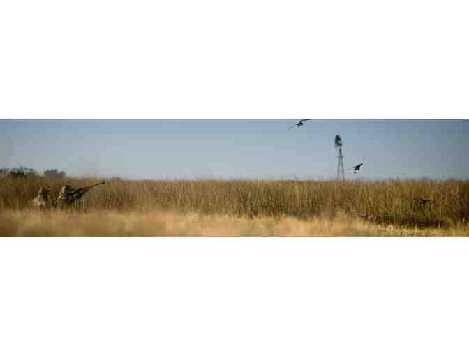 Dove Hunt for 2 at Pica Zuro Lodge in Argentina